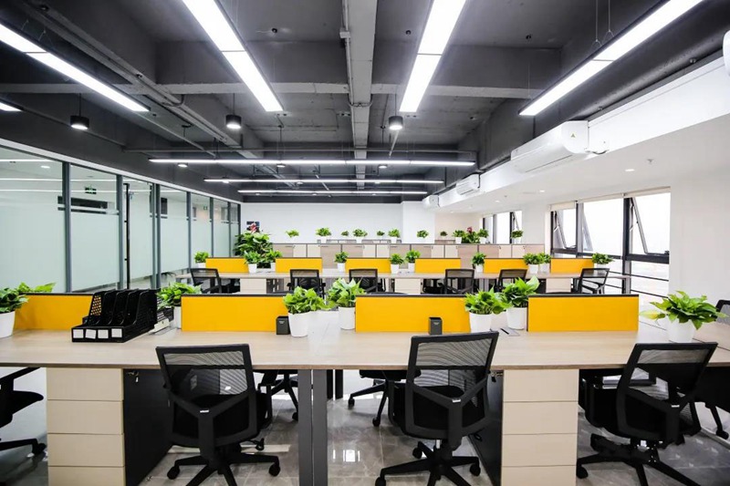 1636773087673469.jpg 10.jpg