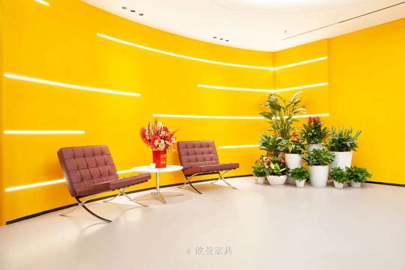 1645607525951776.jpg 3.jpg