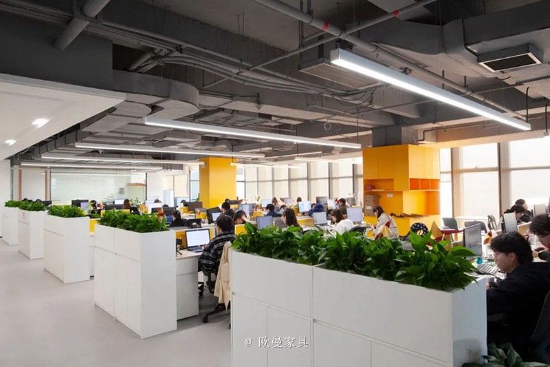 1645607539483634.jpg 4.jpg